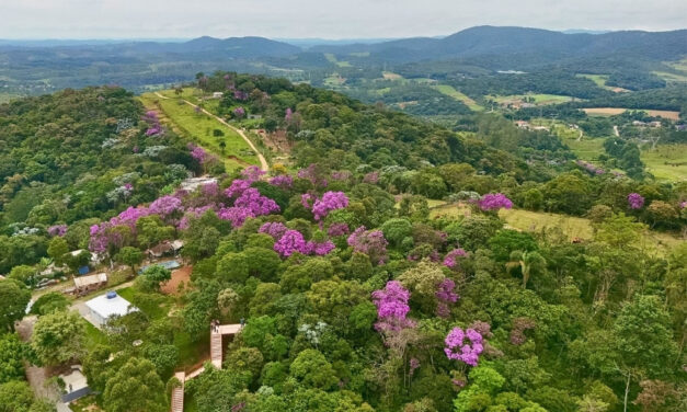 Prefeitura de SP transforma área degradada em parque para proteger nascentes do Rio Aricanduva