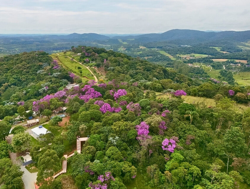 Prefeitura de SP transforma área degradada em parque para proteger nascentes do Rio Aricanduva