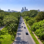 São Paulo é destaque mundial: ONU reconhece projetos verdes e cidade vira referência em sustentabilidade