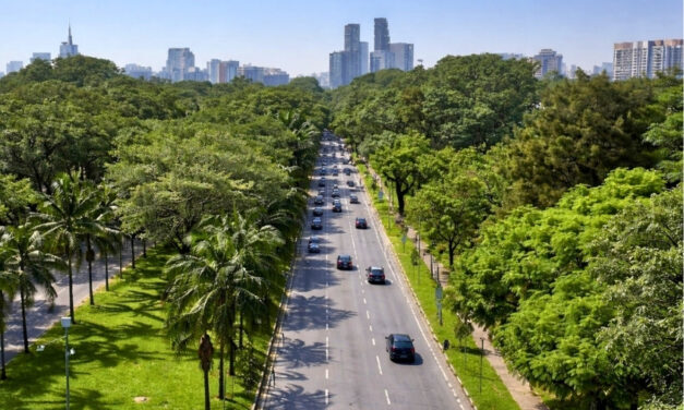 São Paulo é destaque mundial: ONU reconhece projetos verdes e cidade vira referência em sustentabilidade