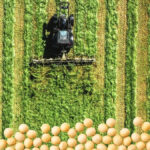 O que está por trás da Agrishow mostra por que o agro brasileiro quer ir além das commodities