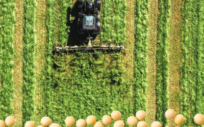 O que está por trás da Agrishow mostra por que o agro brasileiro quer ir além das commodities