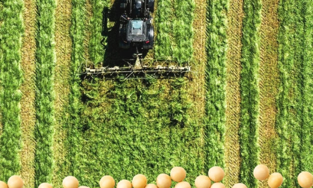 O que está por trás da Agrishow mostra por que o agro brasileiro quer ir além das commodities