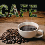 Café em São Paulo dispara: produção cresce, pesquisa avança e turismo ganha força