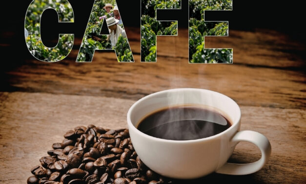 Café de São Paulo: produção cresce, pesquisa avança e turismo ganha força