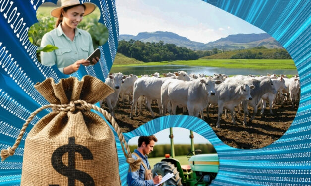 O que define quem recebe crédito no agro? A resposta está nos dados