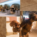 O que a ciência revela sobre as origens da humanidade