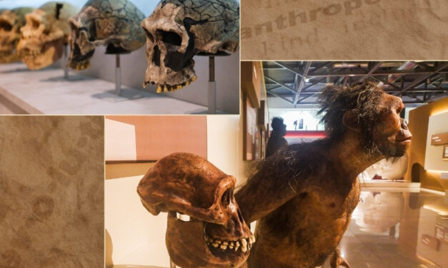 O que a ciência revela sobre as origens da humanidade