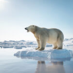 Cientistas da NASA e do NSIDC descobrem que o gelo marinho do Ártico no inverno atinge o menor nível já registrado