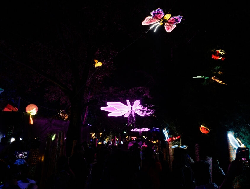 Brilha Sonhos traz experiência imersiva noturna no Parque Villa-Lobos