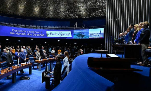 Dia Mundial dos Oceanos: poluição por plástico coloca o Brasil no topo de ranking