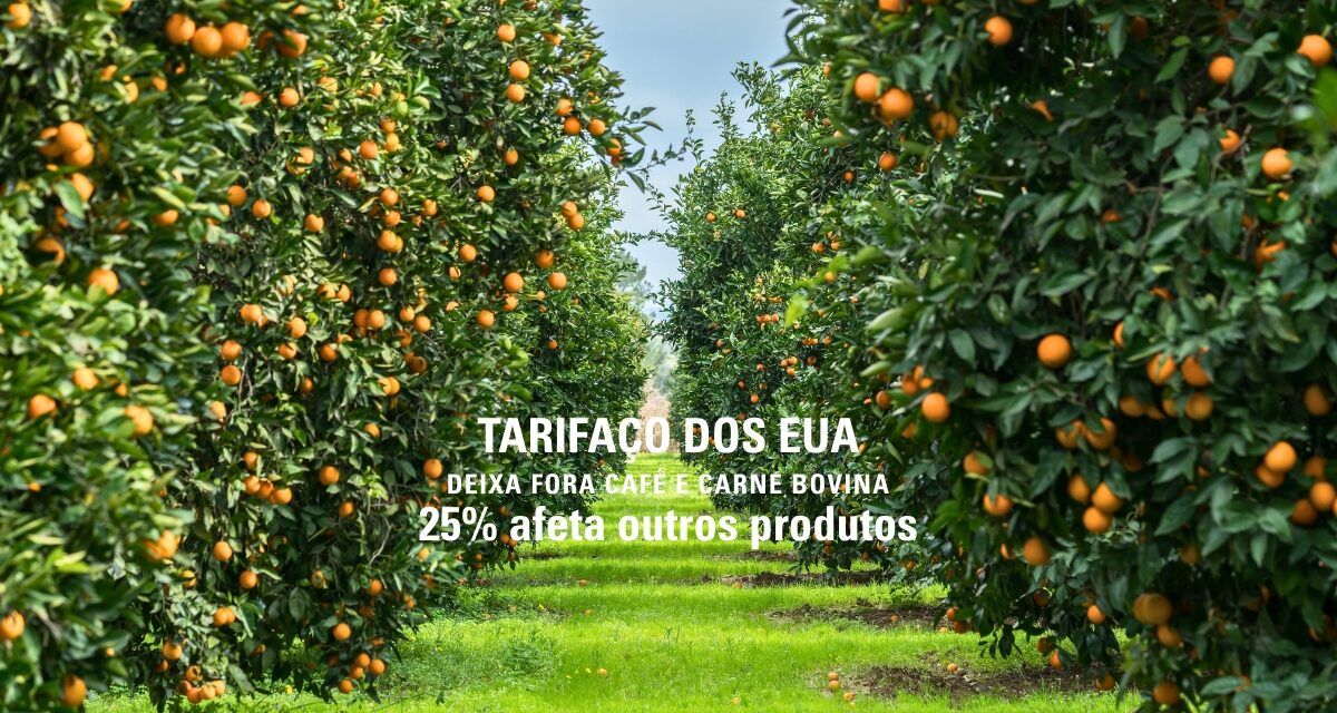 Análise da Abag e IEAG detalha os impactos das novas tarifas dos EUA sobre o agronegócio brasileiro