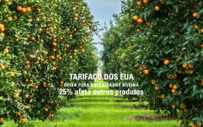 Análise da Abag e IEAG detalha os impactos das novas tarifas dos EUA sobre o agronegócio brasileiro