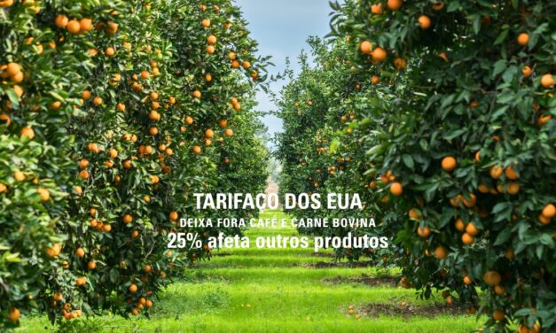 Análise da Abag e IEAG detalha os impactos das novas tarifas dos EUA sobre o agronegócio brasileiro