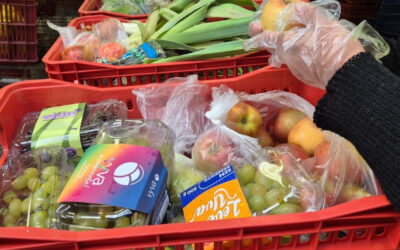 Metodologia de gestão do Banco de Alimentos de SP é finalista de prêmio mundial de ciência de dados