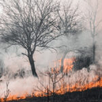 Estiagem em SP: baixa umidade e seca acendem alerta máximo para incêndios florestais