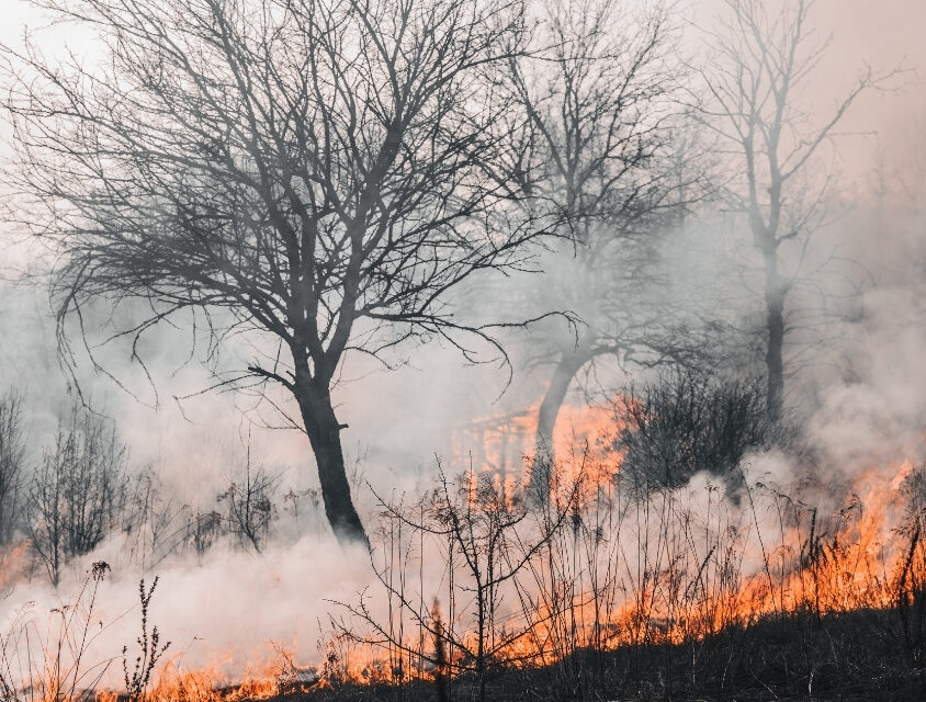 Estiagem em SP: baixa umidade e seca acendem alerta máximo para incêndios florestais