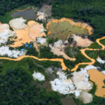 Transparência Internacional: proteção de defensores ambientais na Amazônia é péssima, aponta estudo