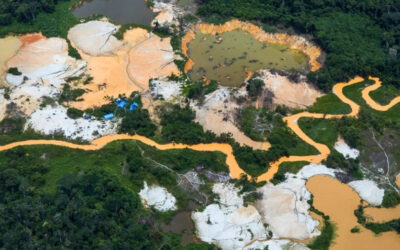 Transparência Internacional: proteção de defensores ambientais na Amazônia é péssima, aponta estudo