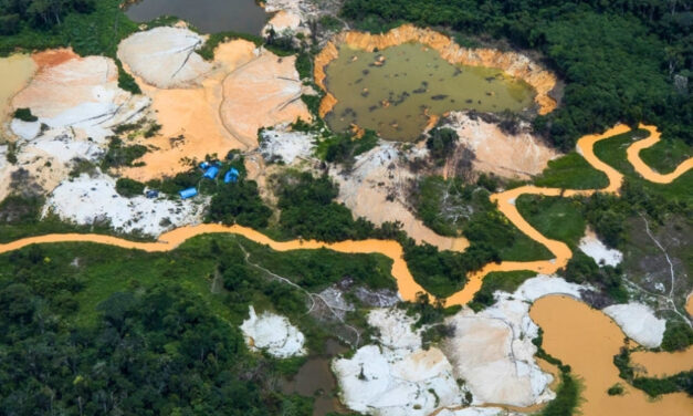 Transparência Internacional: proteção de defensores ambientais na Amazônia é péssima, aponta estudo