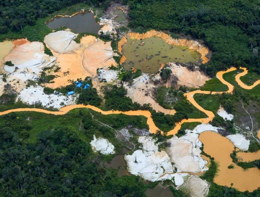 Transparência Internacional: proteção de defensores ambientais na Amazônia é péssima, aponta estudo