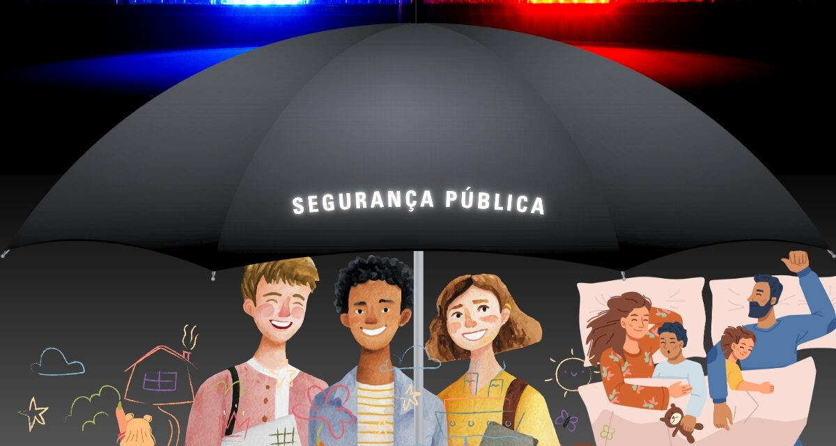 Segurança pública e insegurança social nos marcos da sociedade de risco