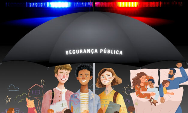 Segurança pública e insegurança social nos marcos da sociedade de risco