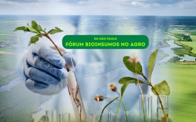 Bioinsumos no agro: mercado debate potencial e desafios da biodiversidade brasileira