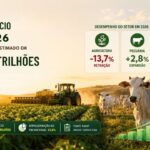 Agronegócio em 2026: PIB do setor é estimado em R$ 3,13 trilhões