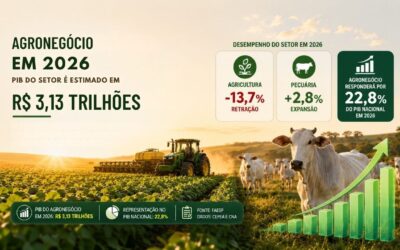 Agronegócio em 2026: PIB do setor é estimado em R$ 3,13 trilhões