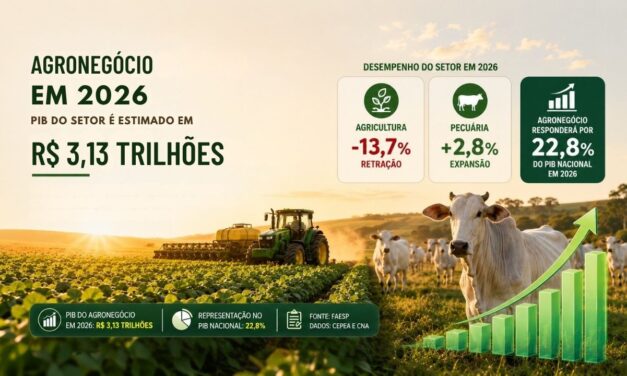 Agronegócio em 2026: PIB do setor é estimado em R$ 3,13 trilhões