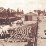Dia Nacional do Patrimônio Histórico: estações ferroviárias preservam a memória e o desenvolvimento de São Paulo