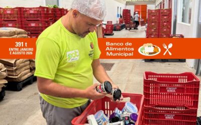 Banco de Alimentos transfere 391 toneladas para doações em São Paulo