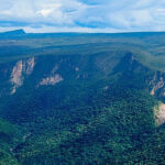 Expedição inédita mapeará biodiversidade da Serra do Aracá, no norte do Amazonas, vídeo