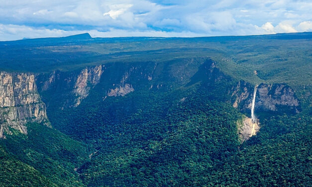 Expedição inédita mapeará biodiversidade da Serra do Aracá, no norte do Amazonas, vídeo