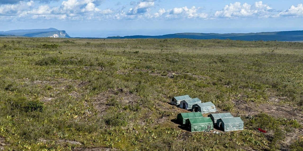 No topo dos tepuis: expedição científica inicia coletas na Serra do Aracá, vídeo