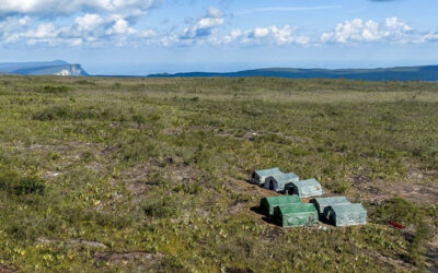 No topo dos tepuis: expedição científica inicia coletas na Serra do Aracá, vídeo