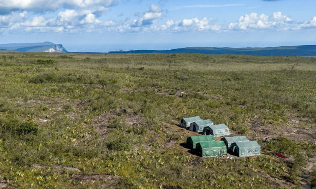 No topo dos tepuis: expedição científica inicia coletas na Serra do Aracá, vídeo