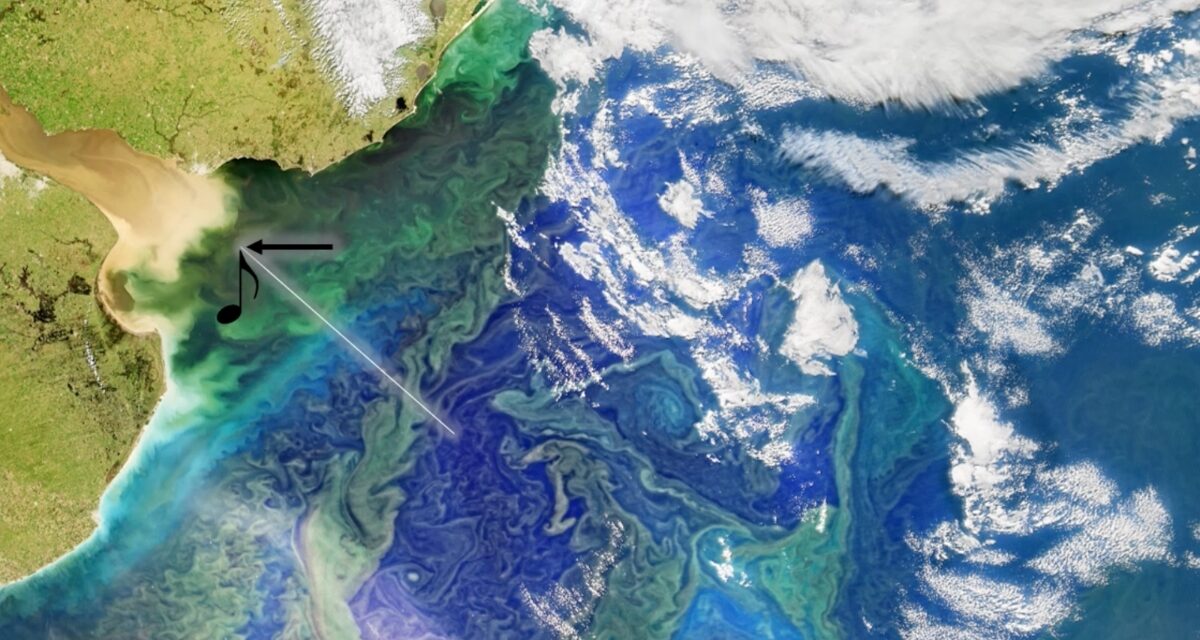 NASA transforma imagem do Rio da Prata em uma composição musical, veja e ouça