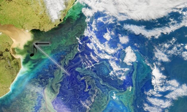 NASA transforma imagem do Rio da Prata em uma composição musical, veja e ouça